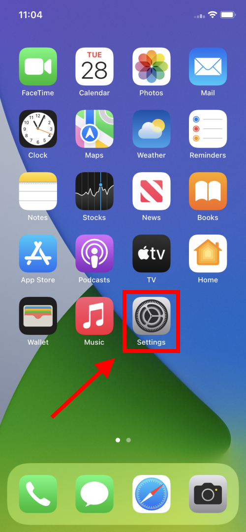 The Settings icon on the iOS Home screen